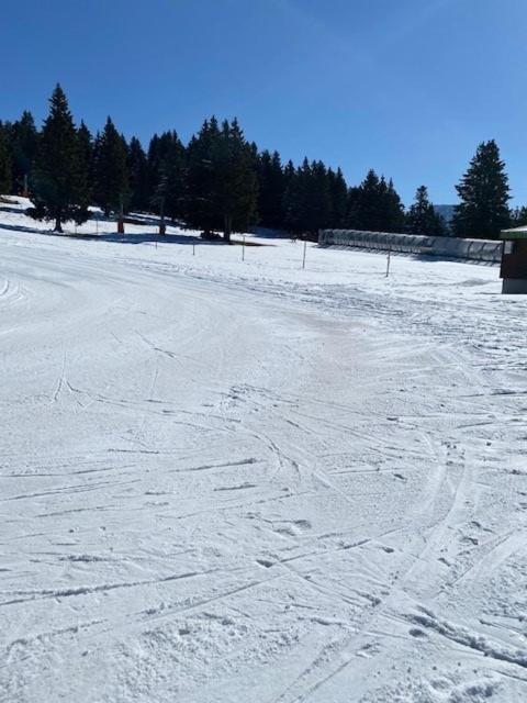 Chamrousse Appart 8 Personnes Au Pied Des Pistes Exterior photo